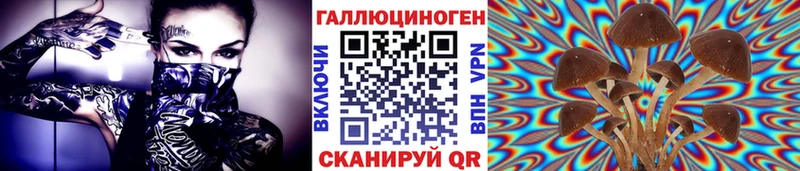 Галлюциногенные грибы Magic Shrooms  Купить закладки  Кировск 