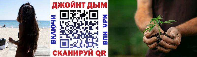 Купить закладки  Кировск  Конопля конопля 
